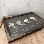 【受注】再販！小さな花束の植物標本　ケース入り