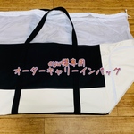 ayu様専用☆オーダーキャリーインバッグＭサイズ