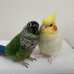 ※専用ページです※PokoPure様のオカメインコちゃん、ウロコインコインコちゃんほぼ実物大サイズです♪羊毛フェルト