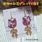 ピアス　イヤリング　レジン　本物のお花　猫　No.113