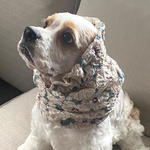 花柄リップル素材❤︎グリーン　犬用スヌード　中型犬用スヌード