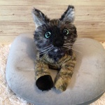 o様愛犬ちゃんオーダーメイド品(サビ柄猫)縫いぐるみ　21センチ