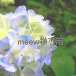 【meew様専用】エメラルドグリーンのピアス