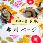 onasunoomise様  専用ページです（他の方はご購入できませんのでご注意下さい）