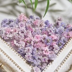 🆕かすみ草 ドライフラワー ピンク＆パープルMIX レジン ハーバリウム 花材 1184