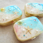 *ヒトデ*海岸ピルケース