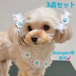 【犬用】犬チョーカー　犬リボン　3点セット　JDバレッタ　グリーン