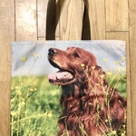 ハンドメイド ぺたんこBigトートバッグ 犬柄 アイリッシュセター