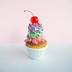 blooming / CupCake カップケーキ の小物入れ
