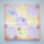 ●hazu0801様専用ページ●