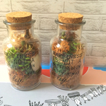 多肉植物とシェル！夏の雰囲気たっぷりのボトルフラワー