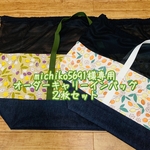 michiko5691様専用☆キャリーインバッグ2枚組セット