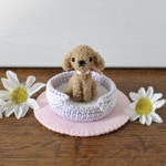 【再販】*小さなモコモコわんちゃん*