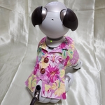 aibo の洋服　アイボの服　(らくらくアロハシャツ)　ピンク