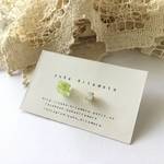 botanical series moss cube asymmetry