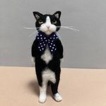 Ano.228 ハチワレミニ猫さん
