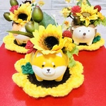 ひまわり多肉🌻🍀しば犬ちゃんポット🐶