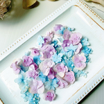 【ドライフラワー】紫陽花ミックス