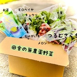 ◎プロのレシピ付き◎ダンボールにいっぱいの無農薬野菜