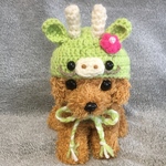 2024年辰年🐲タツの帽子🐲小型犬用帽子・猫用帽子