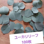 ユーカリリーフ　ミックス