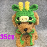 2024年辰年🐲タツの帽子🐲小型犬用帽子・プードル用