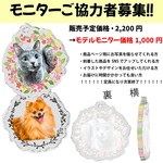 モニター応募者専用ページ