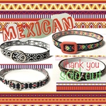17600　Mexican＊迷子札付＊フルオーダーの軽い首輪