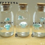 くらげちゃん　ぷちアクアリウム　コルクボトルB　クラゲ