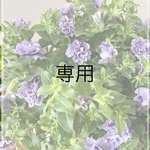 beruiove08様専用　３点おまとめ