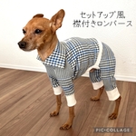 ◉送料無料◉襟付きセットアップ風ロンパース【ミニピン服】【イタグレ服】