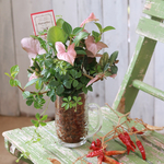 グリーンジョッキの花束植え