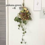 カシワバ紫陽花　ヘリクリサム　ハツユキカズラ　蔓ドライフラワースワッグ57cm