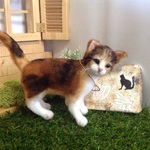 🐈猫物語  お散歩の三毛
