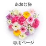 あおむ様専用ページ*𓂃 𓈒𓏸𑁍‬‬