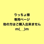 💛ミニミニシュシュチャームセット