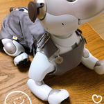aiboちゃんのサロペット　春夏向けツイル生地　各カラー
