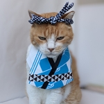 町内祭りコスプレ