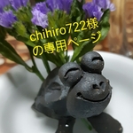 ☆chihiro722様の専用ページ✨