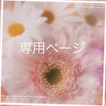  n-yumiko1231様専用ページ