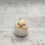 豆オカメインコさん（ルチノー）