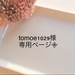 tomoe1029様専用ページです𖧷