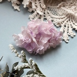 紫陽花まみれ𑁍𓏸𓈒本物のカシアバ紫陽花が咲く 薄ピンク系 バレッタ 髪飾り ⊹ ⁺‧贈り物やプレゼントに……𑁍𓏸𓈒