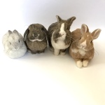 【m...hi様専用】うさぎ  羊毛フェルト オーダー