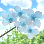 ほの透ける紫陽花のかんざし ✳︎ 空色ブルー   .*･ﾟ本物みたいな大振りリアルフォルム .ﾟ･*.  ✻再販✻