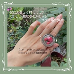 🌱グーのかにgarden ring🌱【おにんぎょう村×聖なるモルモット コラボ第二弾】