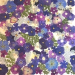 ♡new♡作家様必見♡押し花MIXセット♡押し花セット