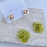 knot green shell 大ぶりピアス/イヤリング