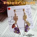 ピアス　イヤリング　レジン　本物のお花　No.157