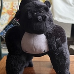 イケメンゴリラ
